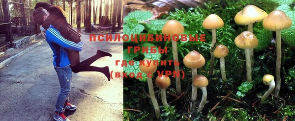 jwh Вязники