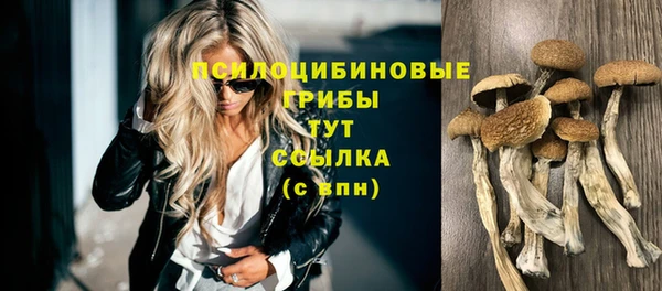 а пвп мука Вяземский